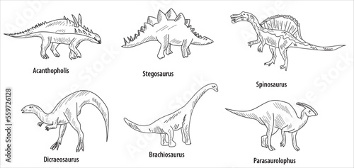 line and hatch drawing 6 dinosaur drawings vector illustration. parasaurolophus, brachiosaurus, spinosaurus, dicraeosaurus, acanthopholis, stegosaurus