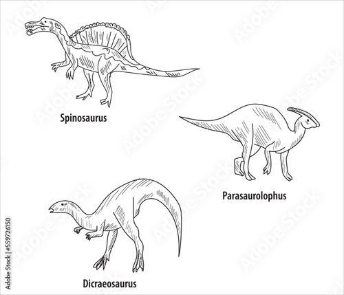 line and hatch drawing 6 dinosaur drawings vector illustration. parasaurolophus  brachiosaurus  spinosaurus  dicraeosaurus  acanthopholis  stegosaurus