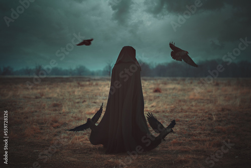 Dark master of the crows photo