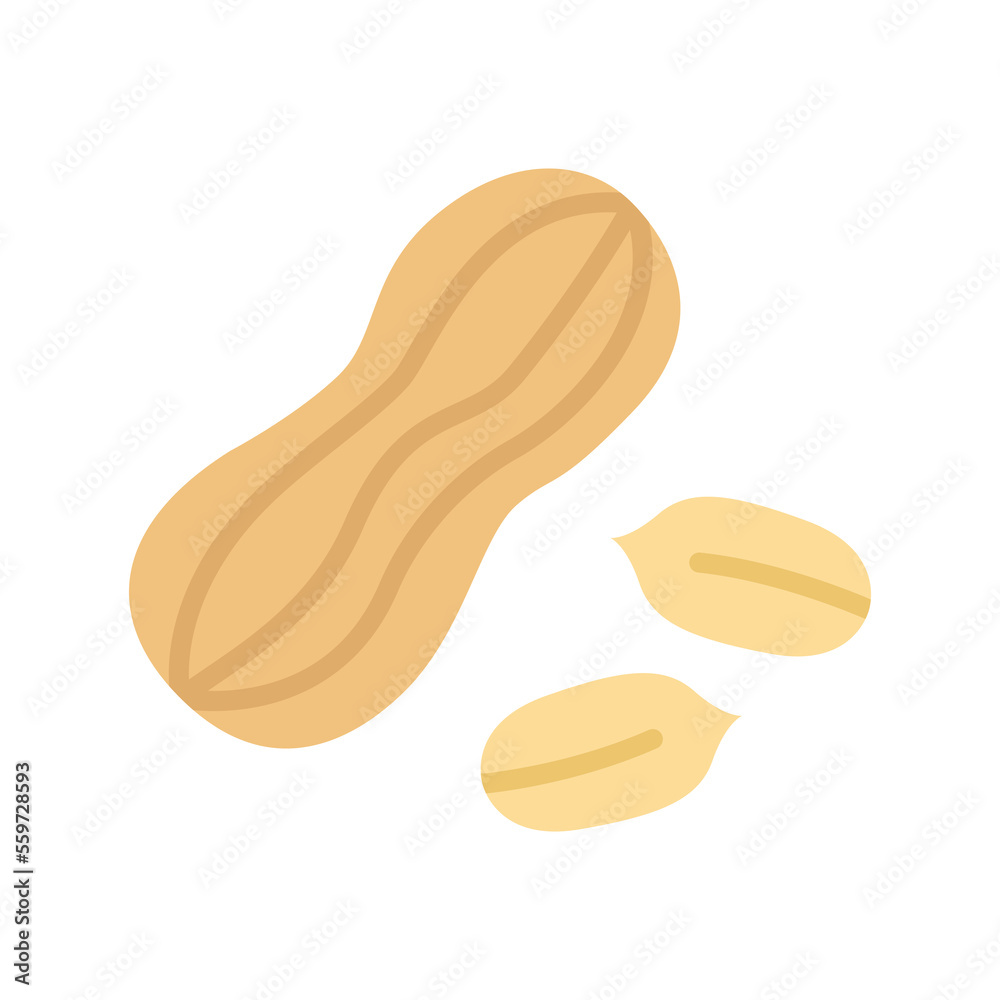 Peanut icon. Peanuts in the shell, kernel.