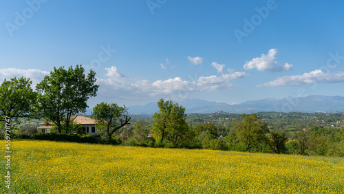 A scenic view of a spring landscape with yellow flowers in the province of Frosinone, Italy.