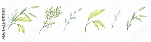 Watercolor green flower branch, leaf, plant elements. Vector botanical collection of delicate foliage isolated on white background