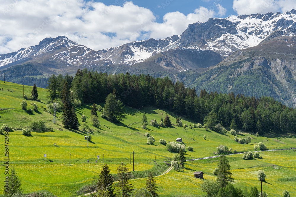 Landeck in Austria is known for its picturesque valleys, mountains, and rivers. The image was taken in spring, when the green fields and trees contrast with the snow-capped peaks.