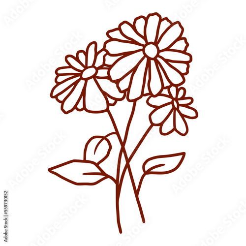 beauty hand drawn three flowers with leaves