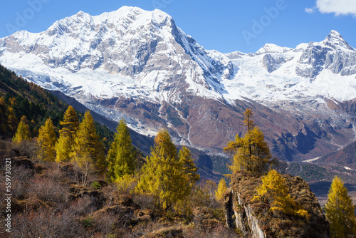 Fotografie Snowy peaks and autumn colors, Manaslu Circuit Trek, Nepal