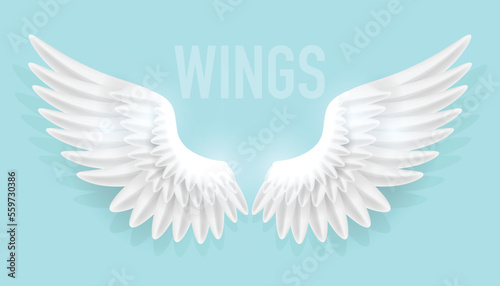 Vector illustration of realistic angel wings isolated on plain background