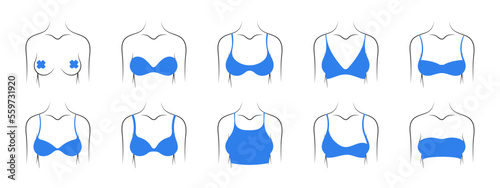 Types of bras. Underwear images. Collection of different types of bras. Vector illustration photo