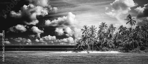 Tranquil beach landscape in black and white. Dramatic monochrome paradise island inspire meditation travel background. Palm trees white sand dark sky artistic waves relax coast. Summer minimal travel