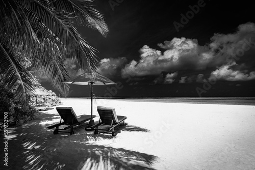 Fototapeta Naklejka Na Ścianę i Meble -  Black and white view of beautiful beach with palm tree leaves, dramatic dark sky white soft sand. Exotic monochrome panorama. Couple meditation inspiration landscape, paradise beach tranquil minimal