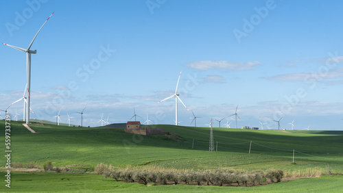 Wind turbines and power lines in a field