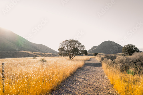 Organ Mountains-Desert Peaks National Monument foggy morning over the golden-colored meadow with unpaved gravel footpath, trees, arid plants, and hills in Las Cruces, Doña Ana County, New Mexico, Sout photo