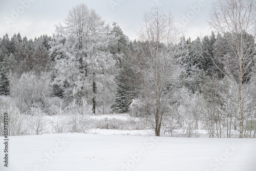 Rural winter snowy landscape with frosty trees