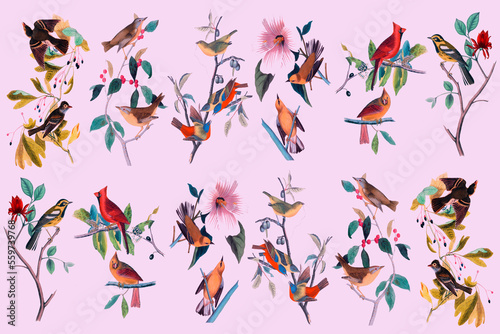 Tropical birds pattern illustration