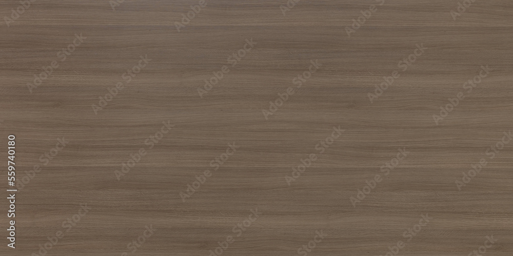 Fototapeta premium Wood Texture