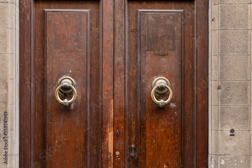 Old wooden door with two door knockers, close up