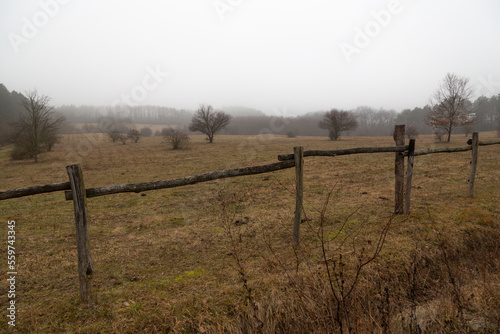 fence in the field © Katalin