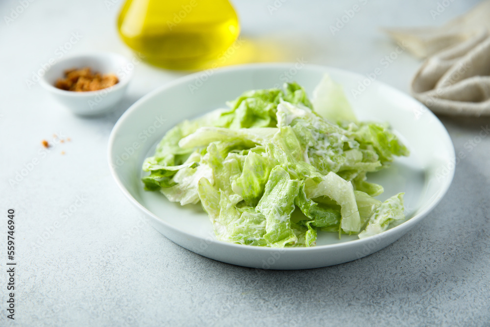 Healthy leaf salad with yogurt dressing Healthy leaf salad with yogurt dressing
