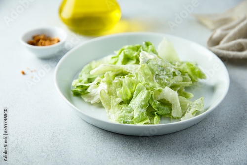 Healthy leaf salad with yogurt dressing