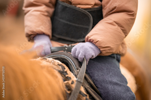 Close up view of hands in gloves during Little Child Riding Lesson. Three-year-old girl rides a pony and does exercises