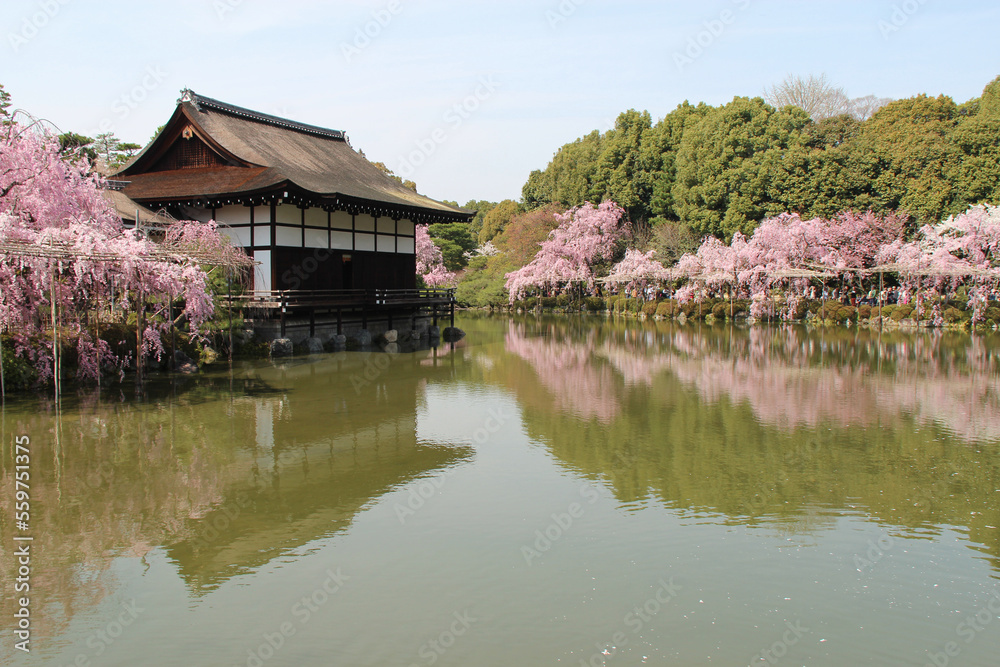 lake and pavilion at the heian shrine in kyoto in japan