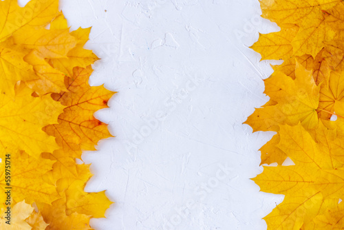 Autumn leaves frame on white background top view Fall Border yellow and Orange Leaves vintage structure table Copy space for text.