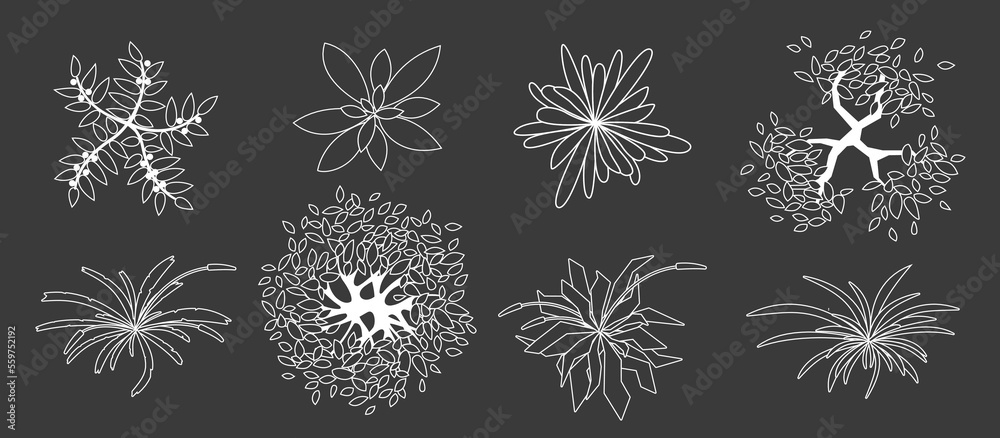 Trees and plants top view isolated on dark background. Elements for design projects. Uncolored grass and tree set for architectural, landscape design. Black and white graphic illustration. Vector kit Trees and plants top view isolated on dark background. Elements for design projects. Uncolored grass and tree set for architectural, landscape design. Black and white graphic illustration. Vector kit