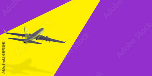 plane taking off from the sunset