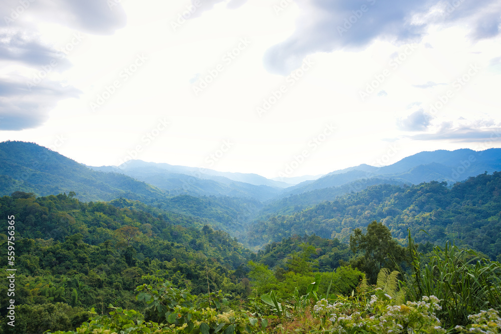 Naklejka premium 登山道から眺める山間部の風景 タイ・カムペーンペット