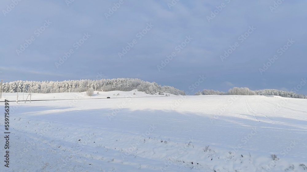 In winter, there is snow on the fields and trees in the forest. Frost has formed on the branches of the trees. A highway passes through the fields and cars drive on it. It is frosty and sunny