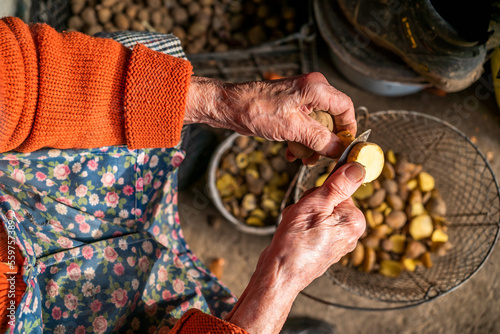 the old grandmother prepares potatoes for the cattle. antithetical man. cooking photo