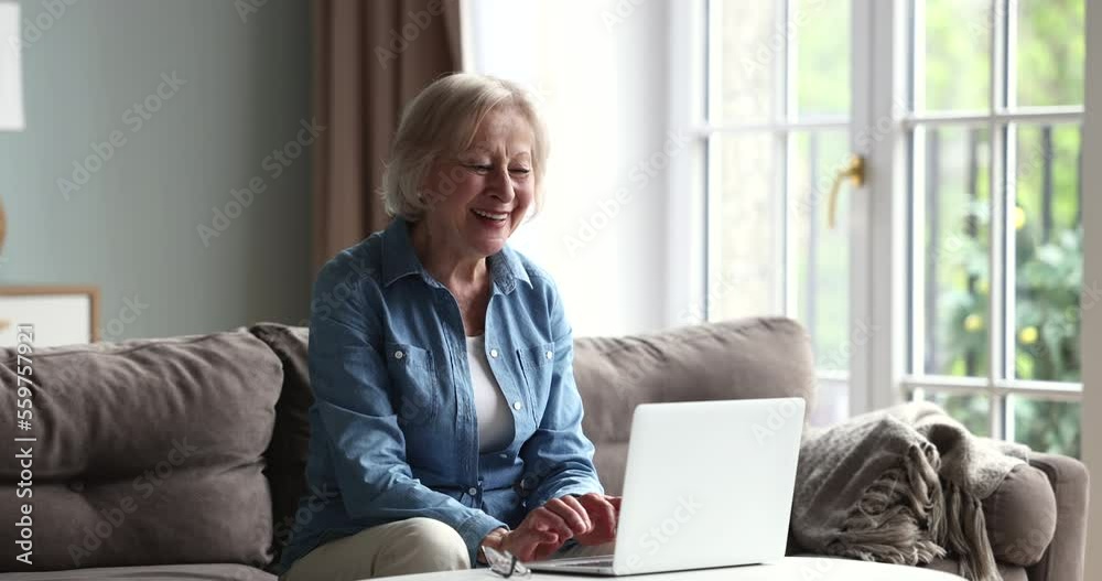 Attractive smiling older woman sit on sofa at home enjoy laptop usage, making remote order through website, having pleasant communication in social media, search information, spend time on internet