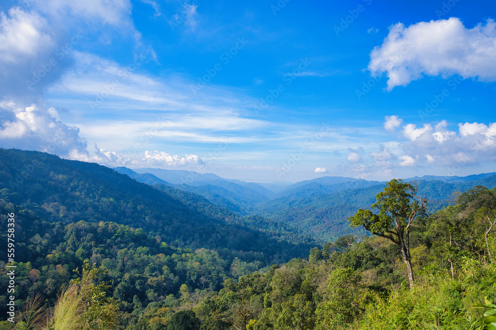 登山道から眺める山間部の風景　タイ・カムペーンペット
