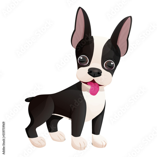 Boston terrier cool puppy standing in cartoon style isolated on white background. Cute dog, print design