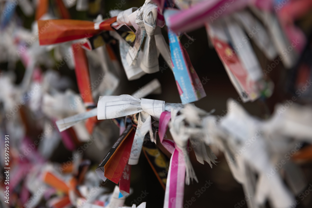 A fortune telling slip at Tomioka Shrine closeup