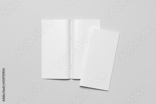 DL Brochure %2F Magazine Mockup