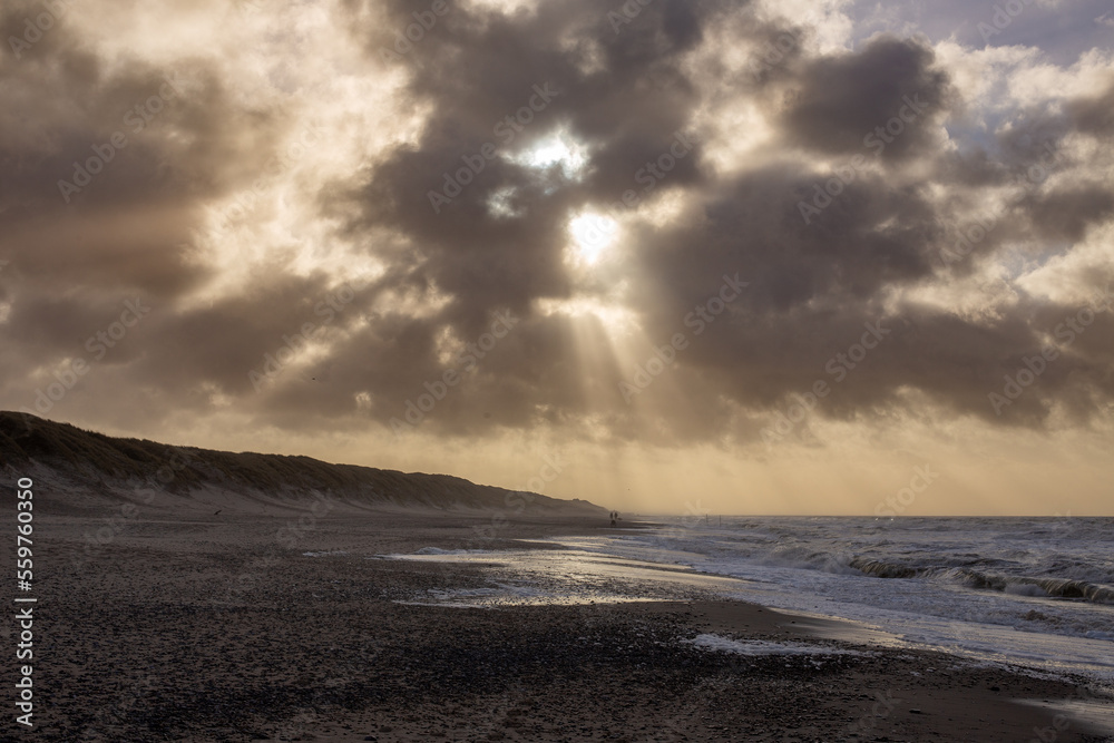 Pflanzen Steine, Sand, Kies Dänemark Nordsee Pflanzen Steine, Sand, Kies Dänemark Nordsee