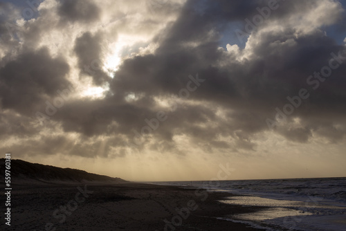 Pflanzen Steine, Sand, Kies Dänemark Nordsee