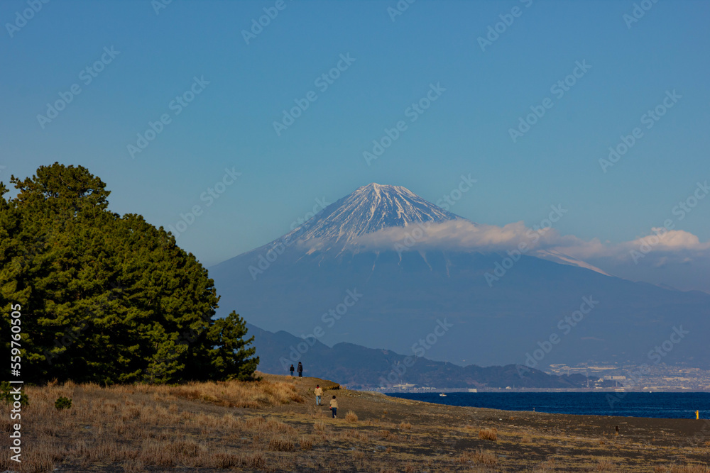 三保松原からの富士山 三保松原からの富士山