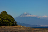 三保松原からの富士山
