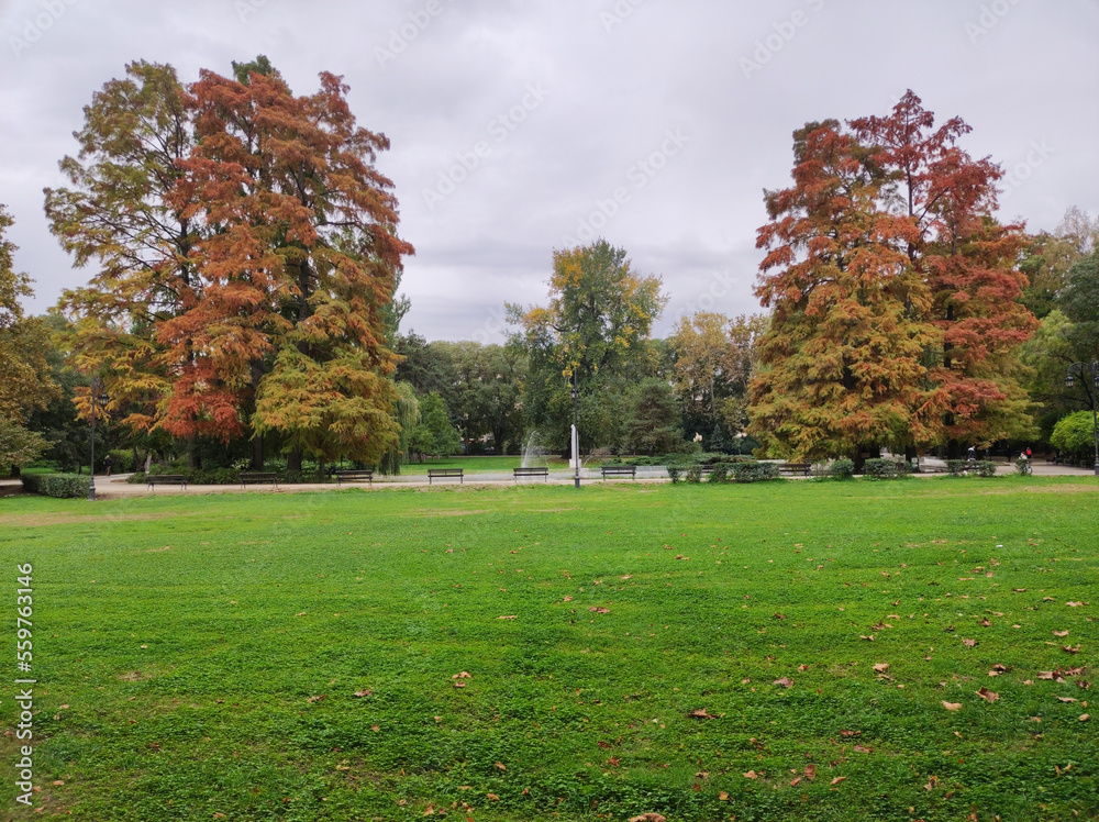 colorful autumn in the Danube park in Novi Sad