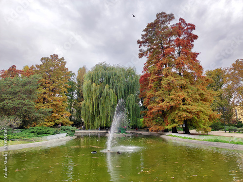 Konstfotografi colorful autumn in the Danube park in Novi Sad