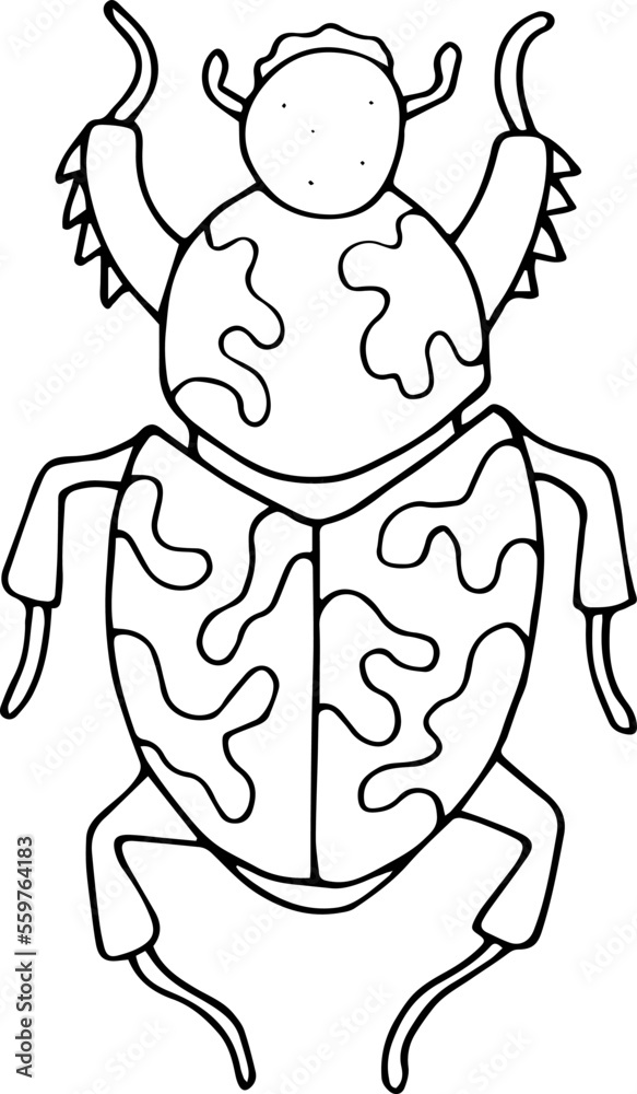 Hand drawn beetle icon in doodle style. Vector children's illustration for coloring.
