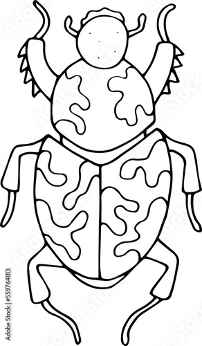 Wallpaper Mural Hand drawn beetle icon in doodle style. Vector children's illustration for coloring.
 Torontodigital.ca