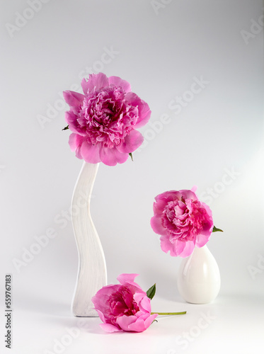 Pink peonies in a vase on a light background. Congratulations on Valentine s Day. Copy space