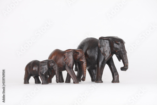 Photography elephants on a white background