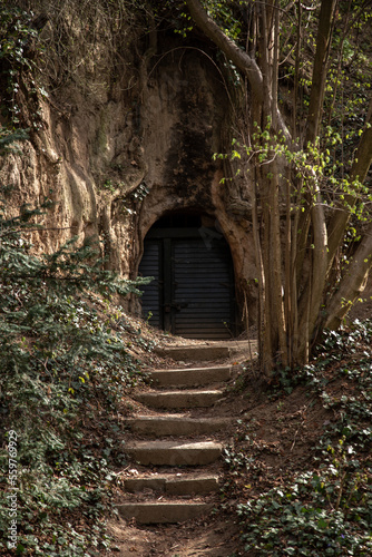 Fototapeta Naklejka Na Ścianę i Meble -  stairs in the forest
