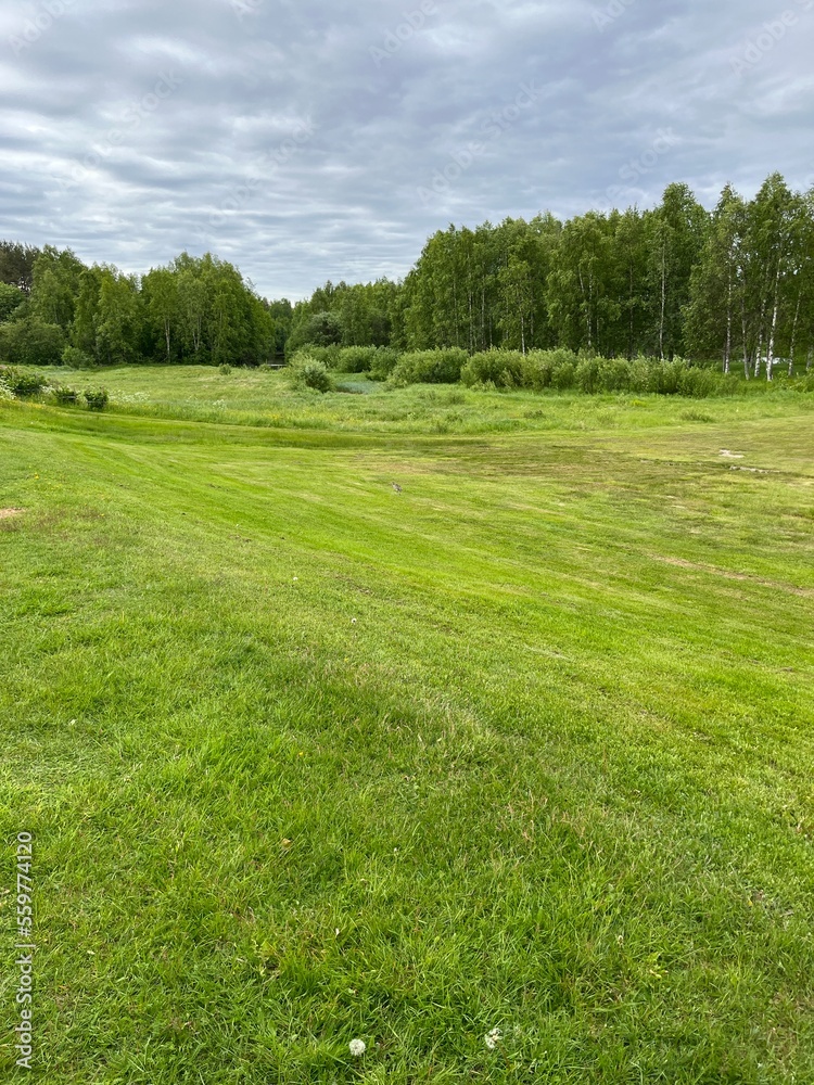 Green field view, summer landscape Green field view, summer landscape