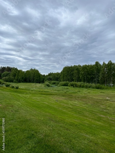 Green field view, summer landscape