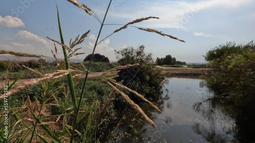 A stream of clean water against a cloudy sky, in Agmon Hula Nature Reserve - Northern Israel photo