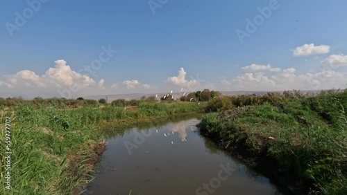 A stream of clean water against a cloudy sky, in Agmon Hula Nature Reserve - Northern of Israel photo